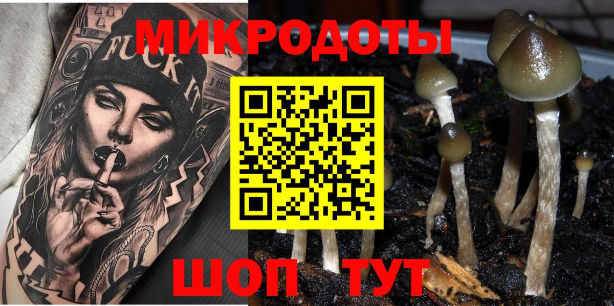 Галлюциногенные грибы Cubensis  Вход с VPN  Галлюциногенные грибы Cubensis  Нарьян-Мар 