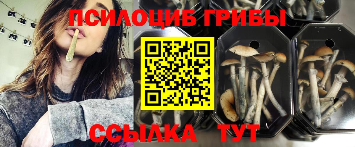 Галлюциногенные грибы Cubensis Нарьян-Мар